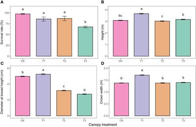 Under-canopy afforestation after 10 years: assessing the potential of converting monoculture plantations into mixed stands